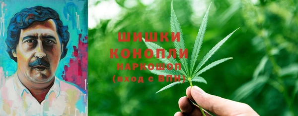 прущие грибы Абдулино