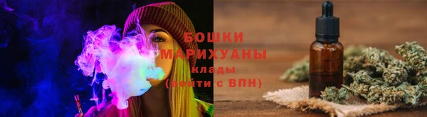 ПСИЛОЦИБИНОВЫЕ ГРИБЫ Новозыбков