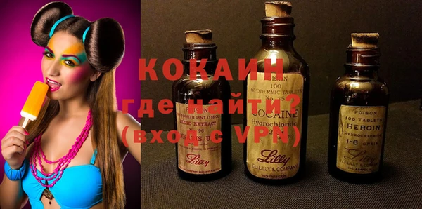 ПСИЛОЦИБИНОВЫЕ ГРИБЫ Новозыбков