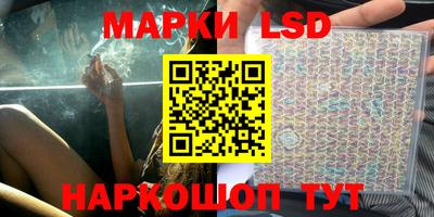 mdpv Новодвинск