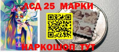 mdpv Новодвинск