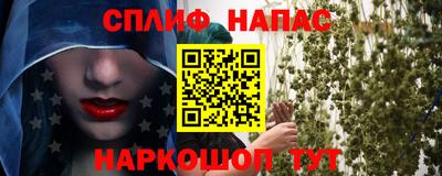 тгк Новозыбков