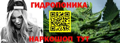 mdpv Новодвинск