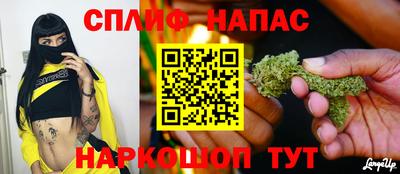 тгк Новозыбков